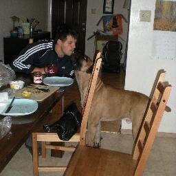 emilredzic's profile picture. 