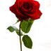 mercresdi (@mercresdi) Twitter profile photo mercresdi (@mercresdi) Twitter profile photo