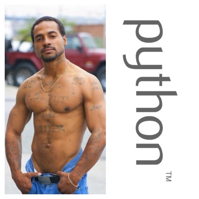 Team_Python's profile picture. This is a fanpage of The king of Queenz @Therealpython approved by Python himself. All the news, pictures & more. Follow #TeamHorseHung