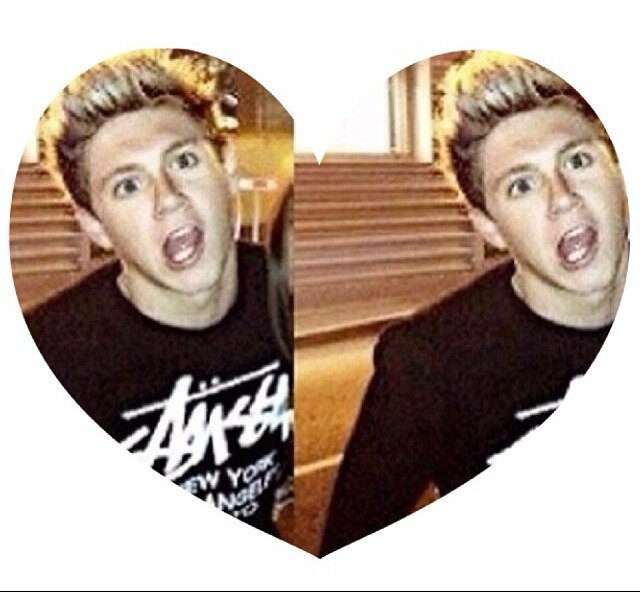 Follow @niallxamor pleeeeeease. She lost lots of followers and it would really help her out! If you follow her, thank you i love you.