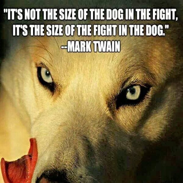 selyob123's profile picture. 