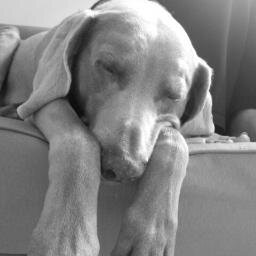 84rpm's profile picture. 