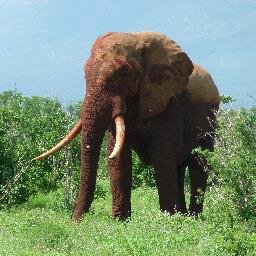 PDoddington's profile picture. 