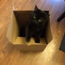 Sheri Hoffman - @sdjpda6 - Twitter