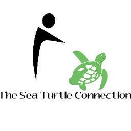 Helping to conserve turtles and improve our relationship with them