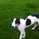 Larry Clancy - @LarryClancy - Twitter