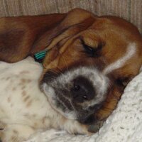 Huckleberry Mack (@iceeslunk) 's Twitter Profile
