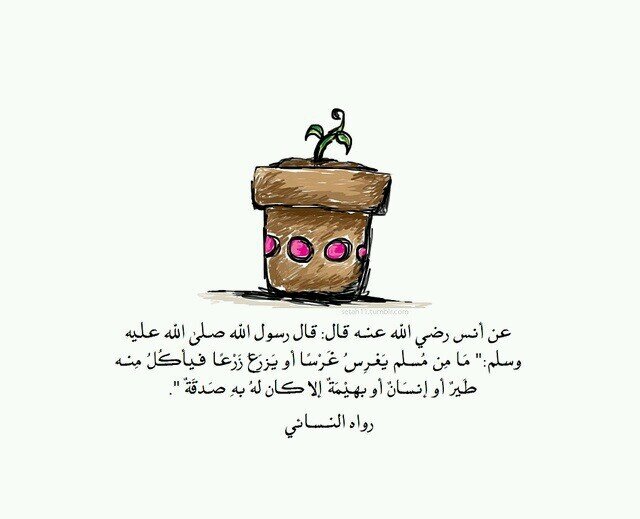 أبي انت نعيم سأظل ابكي على فقدانه عمراً .. لكنني موقنه بأننا سنجتمع في جنّـه عرضها السماوات والأرض خيراً من الدنيا بإذن رب رحيم .. رحماك ربي وعفوك ومغفرتك له ♡.