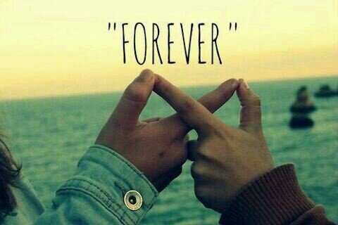 beheerders; @IRIS0578_ && @CelesteMD_