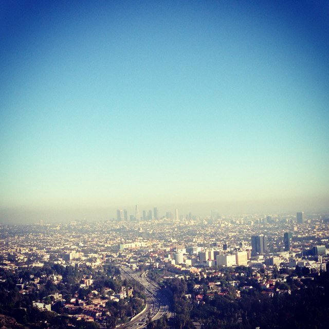 BestUberTips's profile picture. sweg