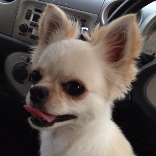 yu1988628's profile picture. Twitter始めました。