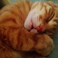 mercandf (@mercandf) Twitter profile photo