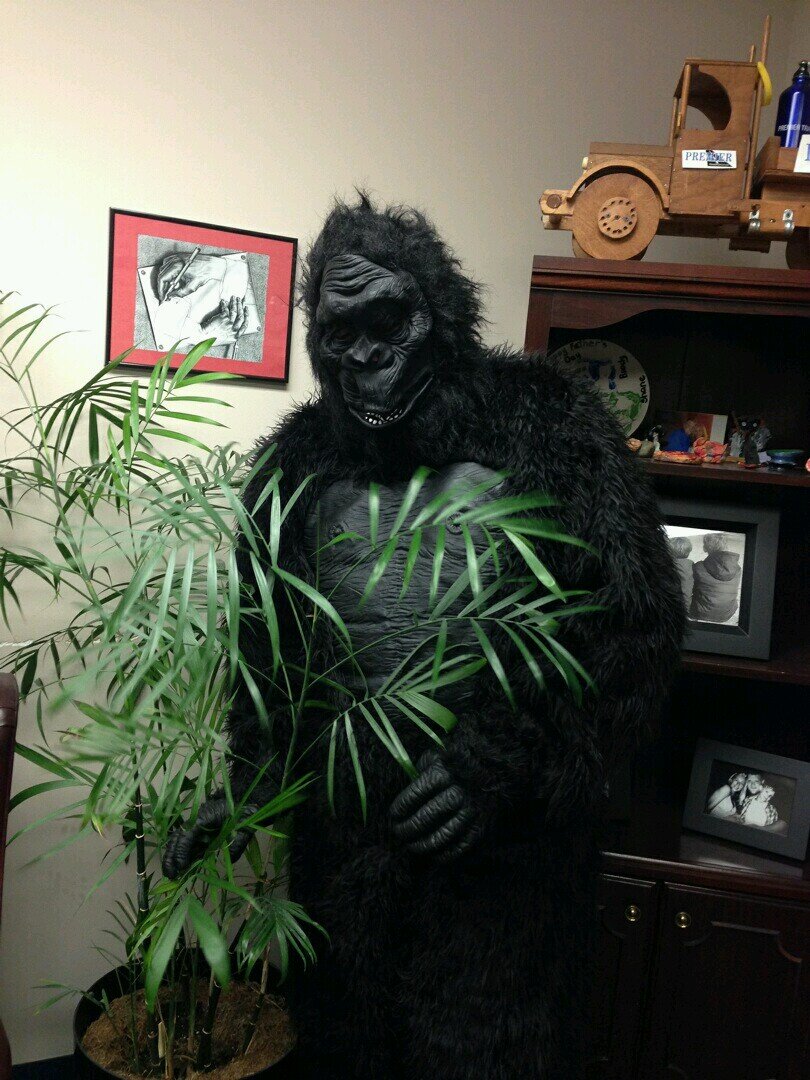 CampbellJamey's profile picture. 