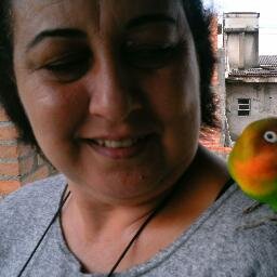 Amo animais e artesanatos . Sou caseira,adoro meu trabalho e meus colegas.Normalmente sou light...mas pra sair do serio sou facinha...facinha,rsrsrs