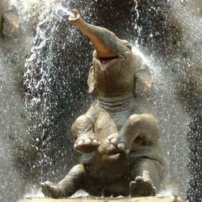 Seo_West_Com's profile picture. SEO махинации с сайтами, обмен опытом и взаимный фолловинг приветствуется.