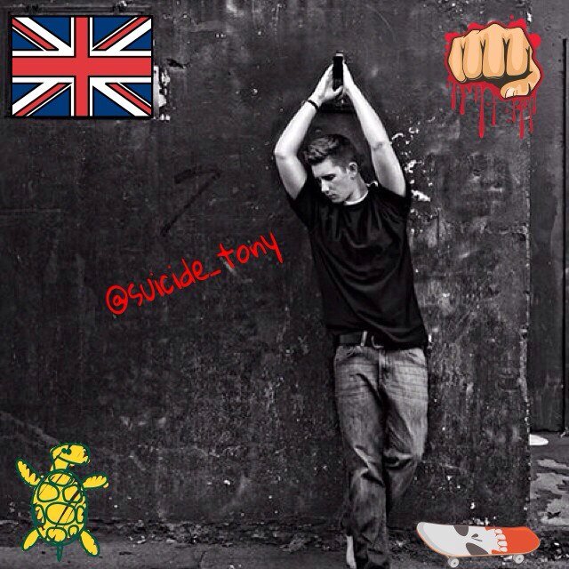 Turtle  || Ask me || bye •.•/
