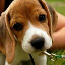 Brandon Seaton - @Pandaseaton121 - Twitter