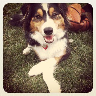 svanni2011's profile picture. WN Pharmaceuticals Territory Manager