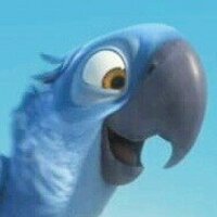 polly0079 (@polly0079) Twitter profile photo