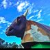 MechanicalBullRental (@bullrental) Twitter profile photo