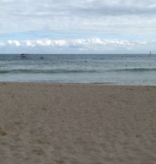 Eleanor552005's profile picture. 