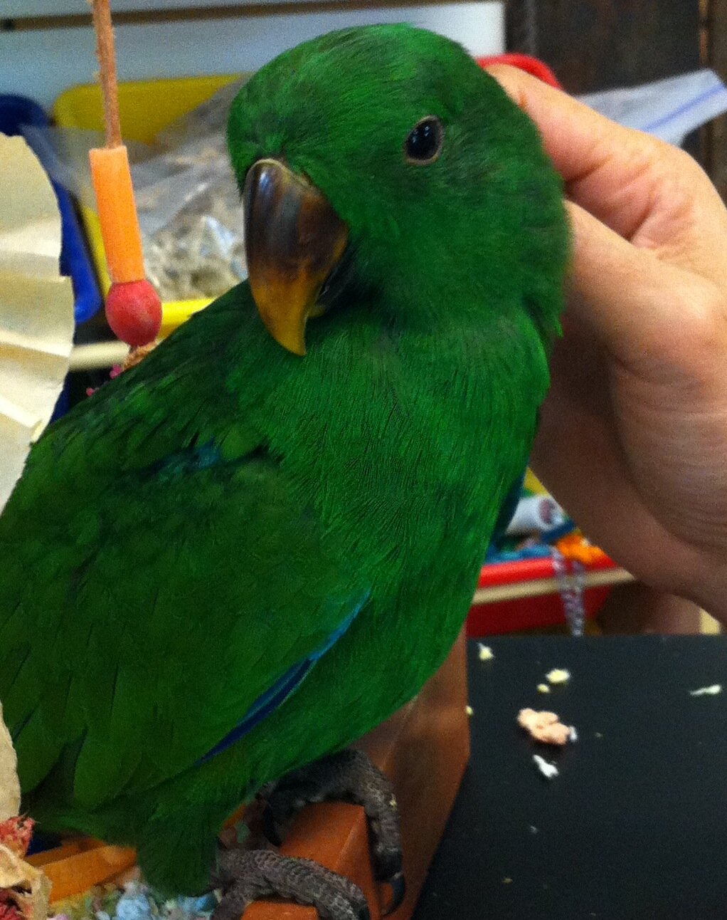 loveeclectus1's profile picture. “The only thing necessary for the triumph of evil is for good men to do nothing“  -Edmund Burke