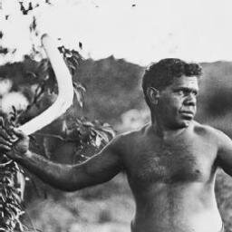 TexasBoomerangs's profile picture. Official Page of The Texas Boomerangs