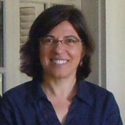 Lecturer, Camões I P, at Lyon2