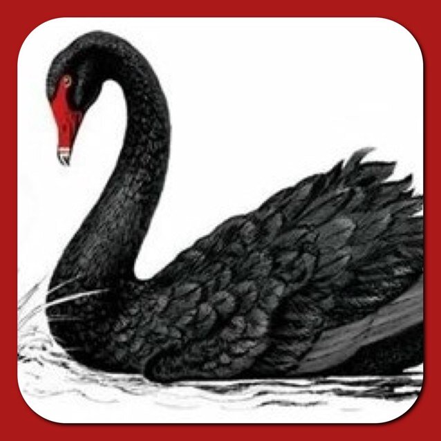 jnajmin's profile picture. 