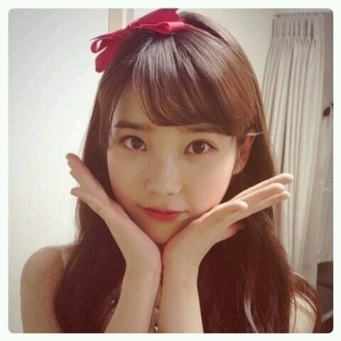 お引っ越し ㅇvㅇ