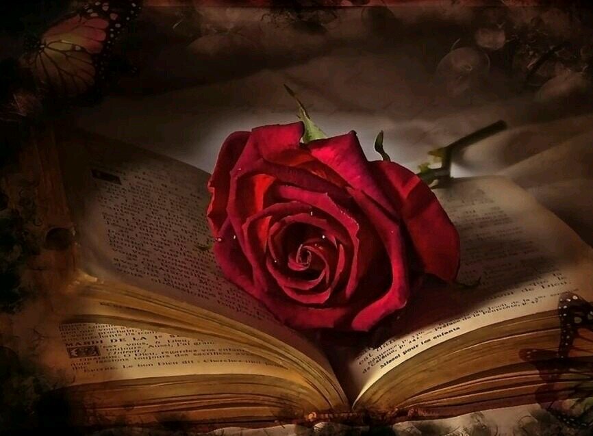 (حايل) مسقط** راسي** و**(شمر )**عزوتي** و**(الهلال )**عشقي *(احب* عتيبه* و*لست *منهم*)) من صد عني مآ ترجيت غلآهه