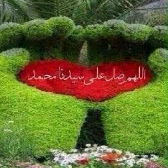 ابي دكتوره مقتدره ماديا تبي الستر تكون بيضاء وجميلة مواصفاتي لون عادي/عمري٢٥/ط١٦٨/و٦٠/اقدر الحرمه واحترمه وقدر الدكتوره التي تزاول مهنتها لخدمة مجتمعها