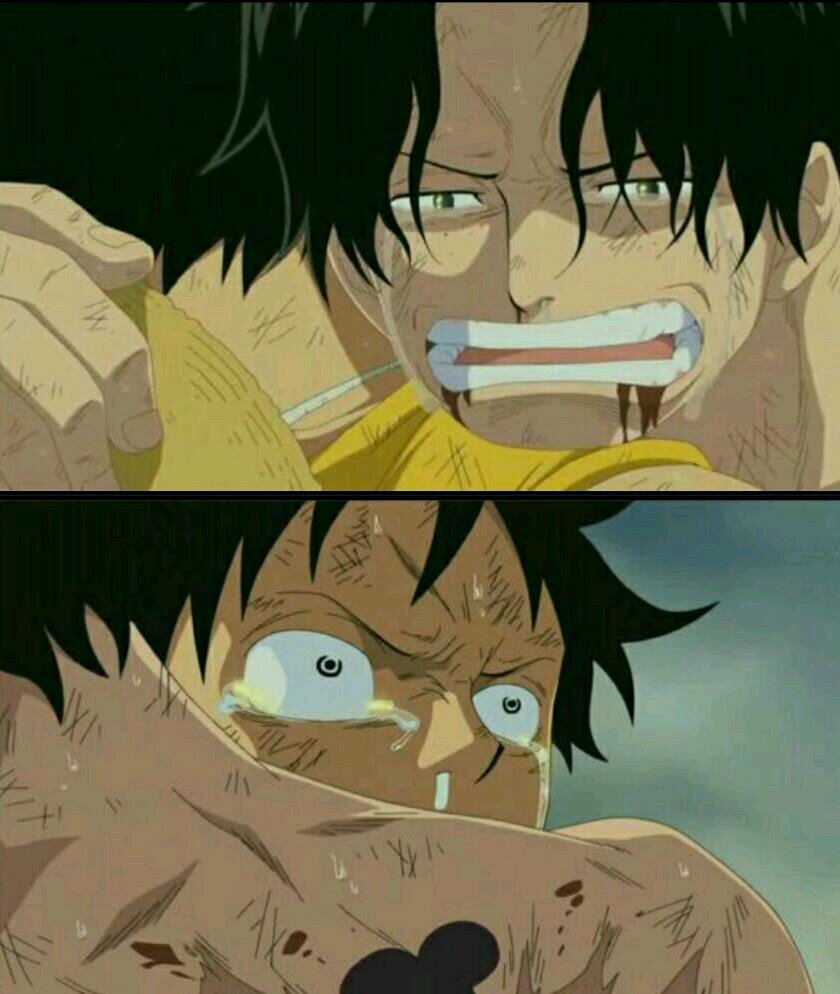 ONEPIECEがあって自分がある。たくさんのことを教えてくれるONEPIECEが大好きです😌