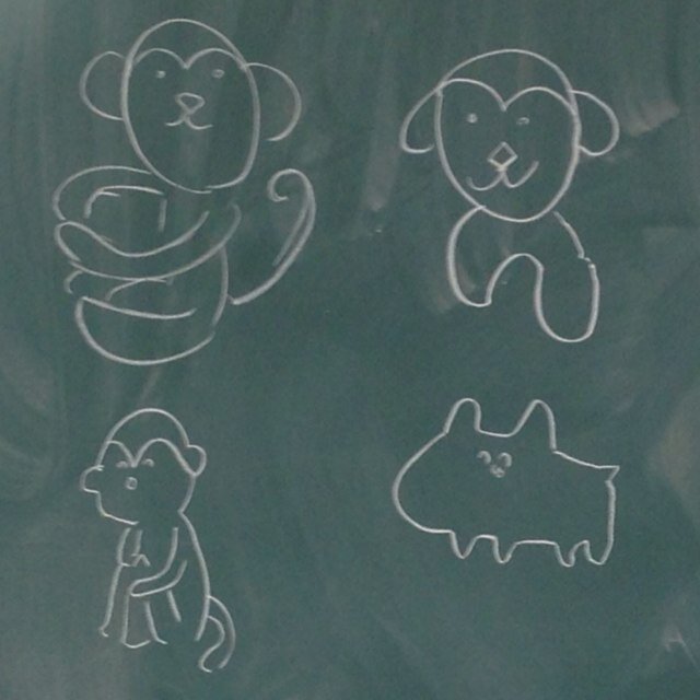 ねこさんのプロフィール画像