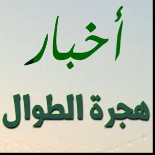 موقع يهتم بأخبار هجرة طوال النتيفات