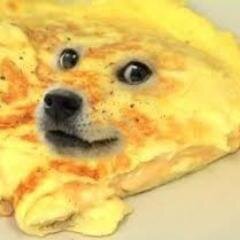 yo @usspinto bc i either rlly like u and im too scared to follow u or u follow me but hey spread the love