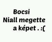 Directioner szív, Directioner lélek,Directioner leszek amíg csak élek! ∞