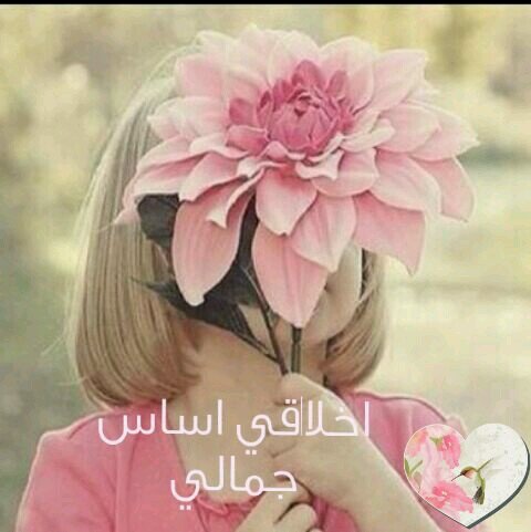qmr321_ana Profile Picture