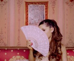 Free Follow