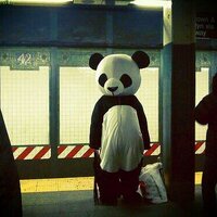 JohnnieBear (@johnnie_bear) 's Twitter Profile