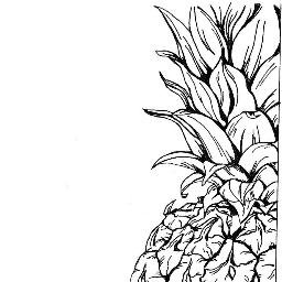 Pineappleman120's profile picture. I give a good source of vitamin procrastination.