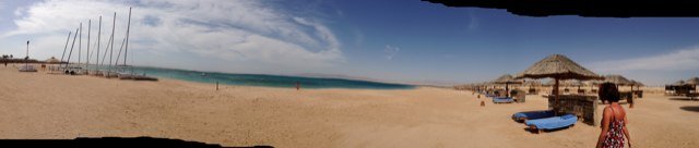 DksT6's profile picture. 