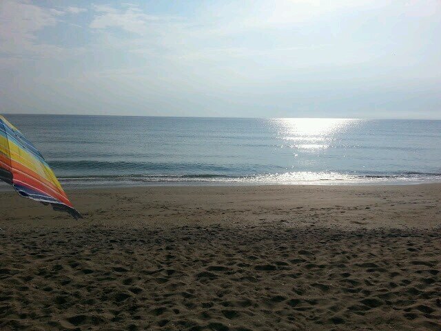 BBobbyblue1216's profile picture. 