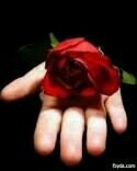 7490555 Profile Picture