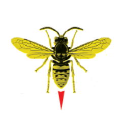 s_ky_a's profile picture. Συνέλευση για την Κυκλοφορία των Αγώνων