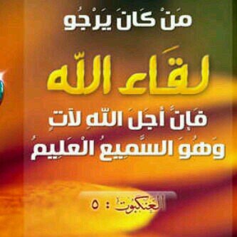 ‏لا اله الى الله محمد رسول الله                                         الامارات _ابوظبي