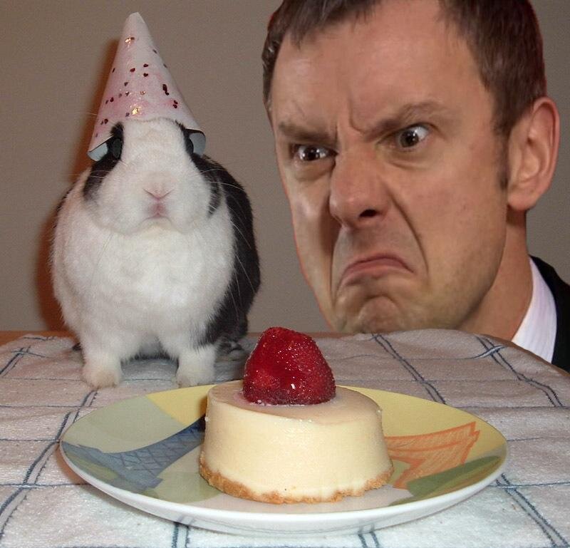 MclellanMonique's profile picture. 