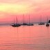 Manel Algeciras (@algecirasmanel) Twitter profile photo Manel Algeciras (@algecirasmanel) Twitter profile photo