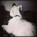 kendra driscoll - @DriscollKendra - Twitter