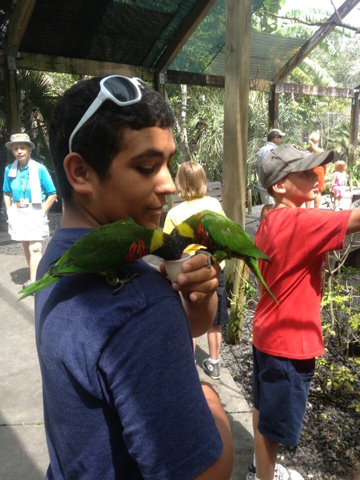 KR_JayLightning's profile picture. World of Warships DD player, League Support/Mid main, Arma 3 Medic, Rocket league ranked goalie, follow and find me in game!